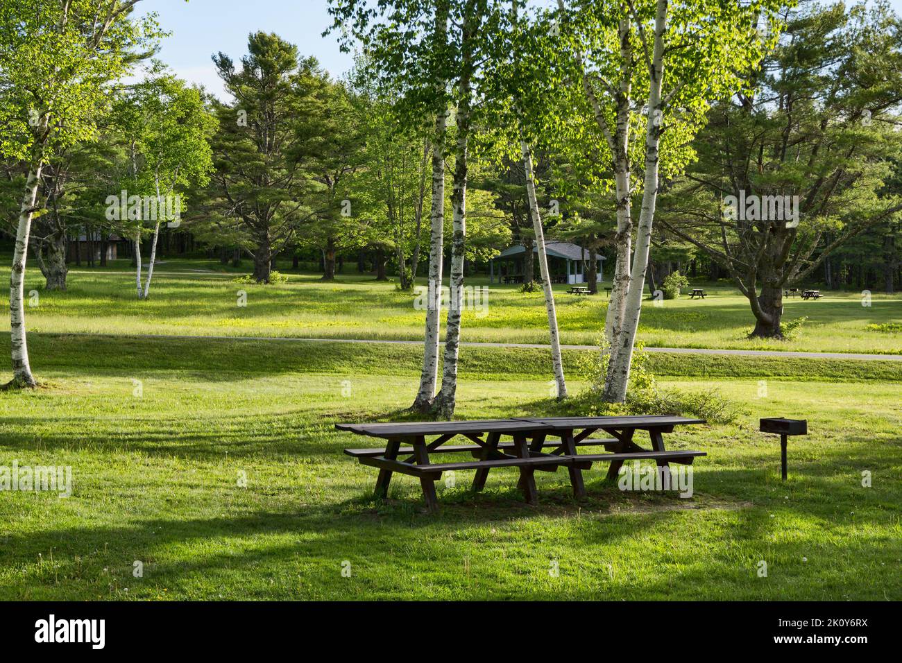 Tavoli da picnic vuoti nel Maine Foto Stock