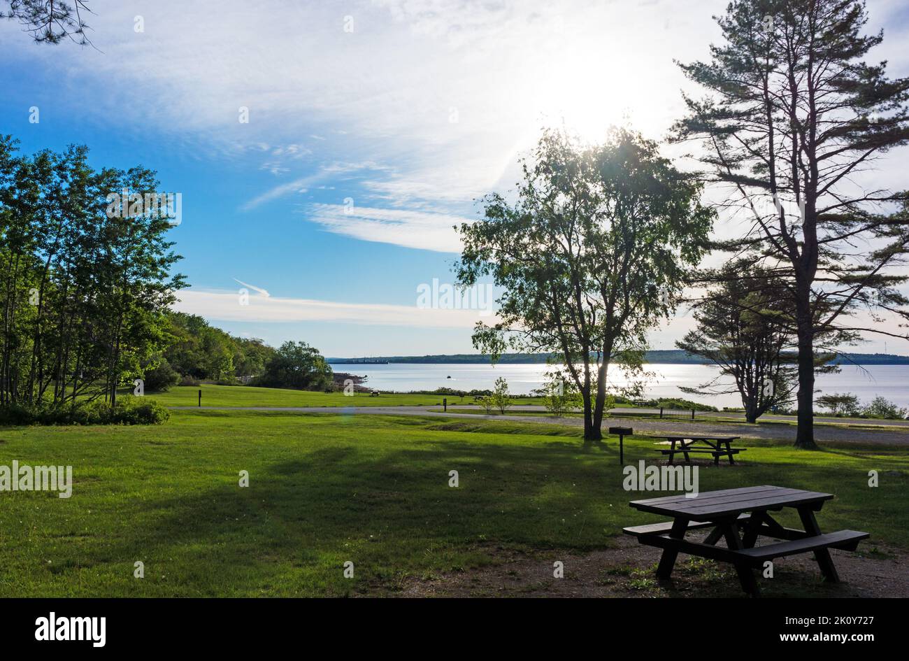 Parco impostazione vicino all'oceano la mattina presto con tavoli da picnic, alberi e erba falciata sulla costa del Maine. Foto Stock