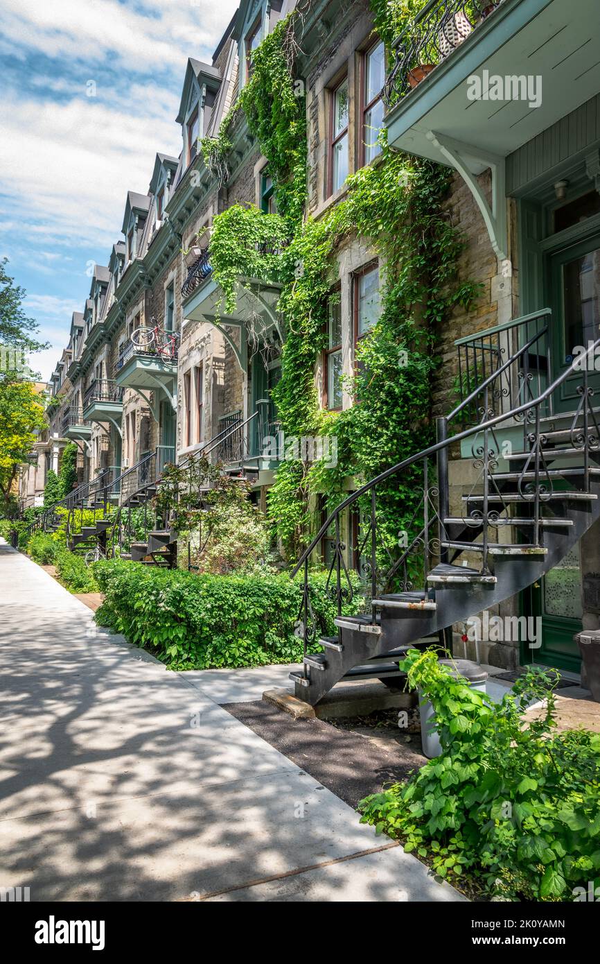 Case vittoriane in le plateau Mont Royal Borough a Montreal, Quebec Foto Stock