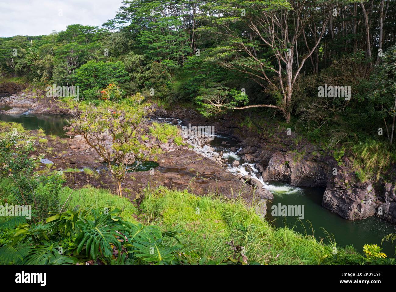 rive rocciose e boschi lungo il fiume wailuku nel parco statale hilo hawaii Foto Stock