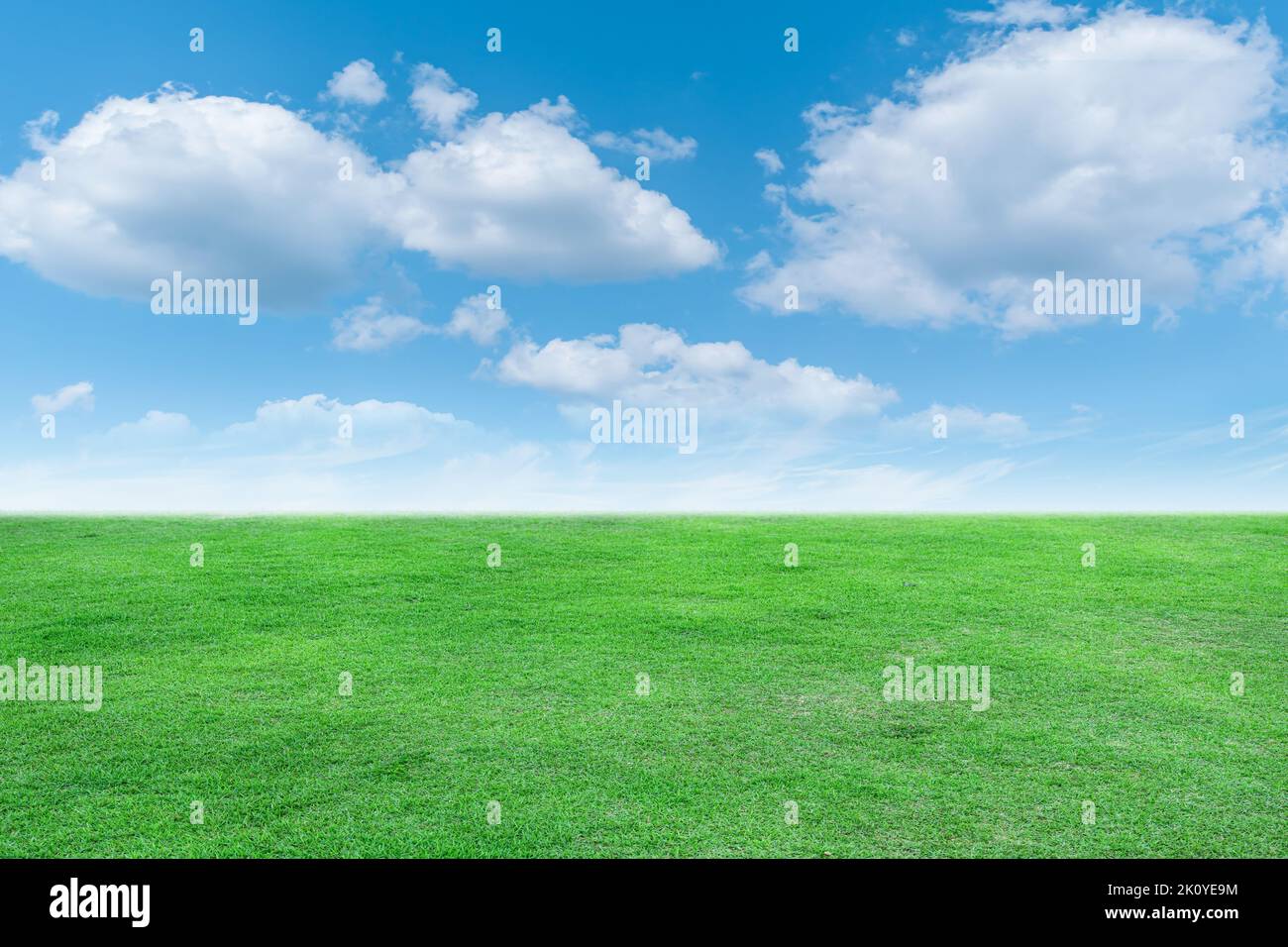 Vista panoramica dell'erba verde con cielo blu brillante e sfondo nuvoloso. Foto Stock