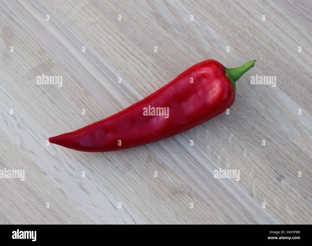 Un grosso peperoncino maturo Foto Stock