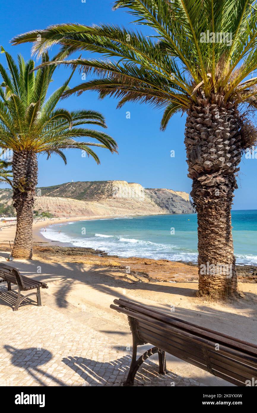 Benchs su una passeggiata costiera alla spiaggia di Luz, Lagos, Portogallo. Palme e cielo blu chiaro. Foto Stock