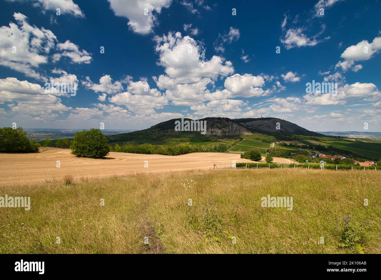 Guarda oltre il prato per le colline di Palava. Regione della Moravia, Pálava. Repubblica Ceca. Foto Stock