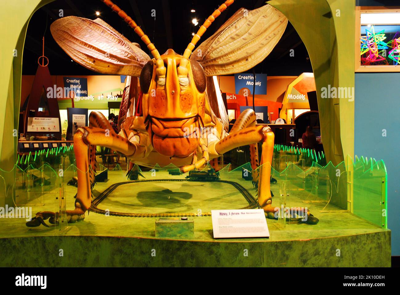 Un Grasshopper più grande della vita in mostra al Boston Museum of Science nella sala degli insetti Foto Stock