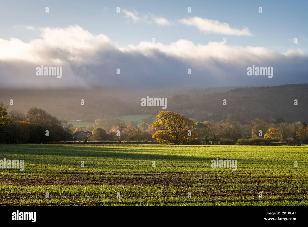 I pendii settentrionali delle colline Mendip da terreni agricoli vicino a Wrington in una mattinata autunnale, Somerset del Nord, Inghilterra. Foto Stock