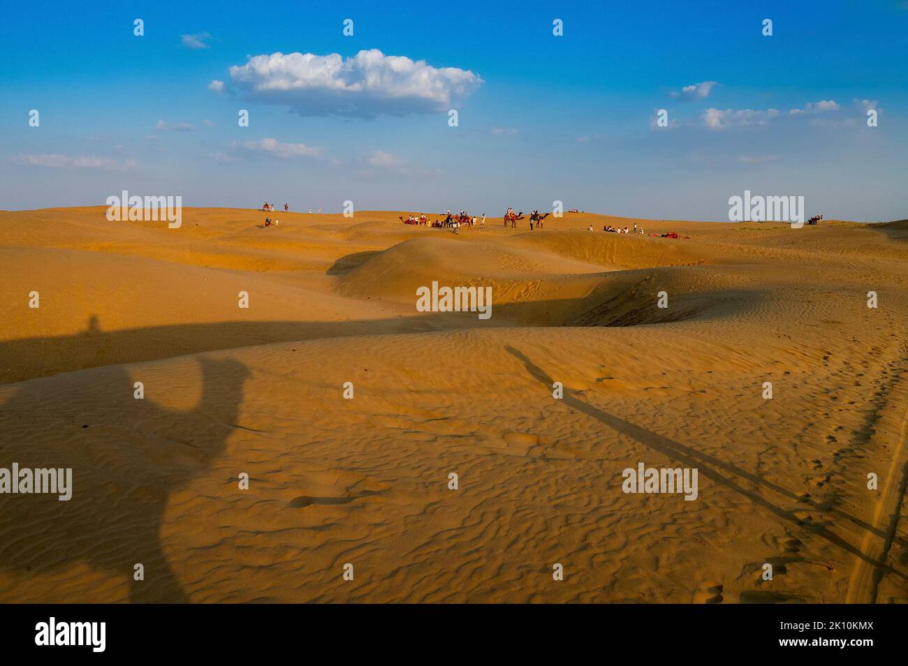 Deserto di Thar. Terra arida , dune di sabbia di Jaisalmer, Rajasthan, India. Foto Stock