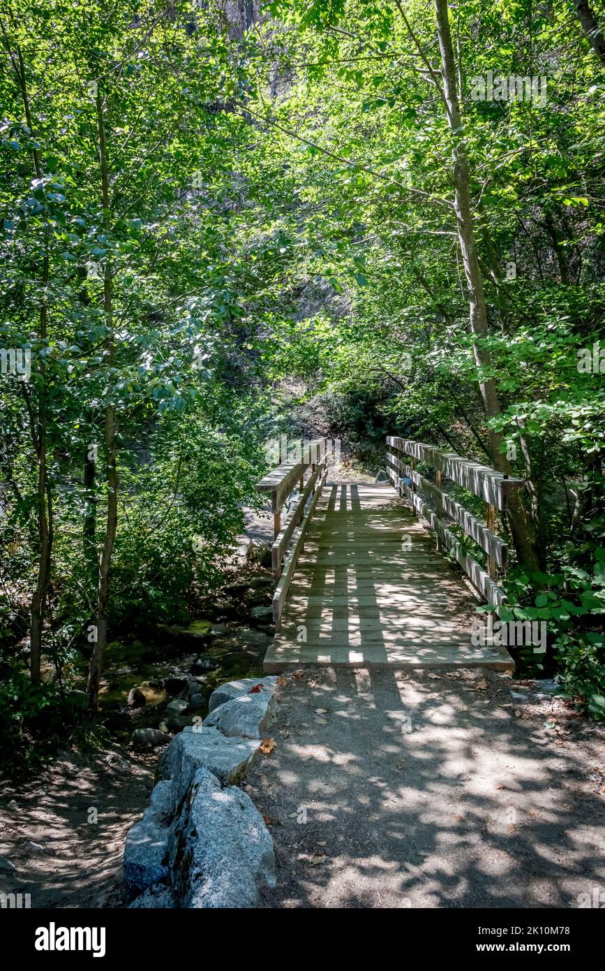 Un sentiero conduce a un ponte di legno che attraversa Crystal Creek, ombreggiato da alberi, nella Whiskeytown National Recreation Area, California settentrionale. Foto Stock