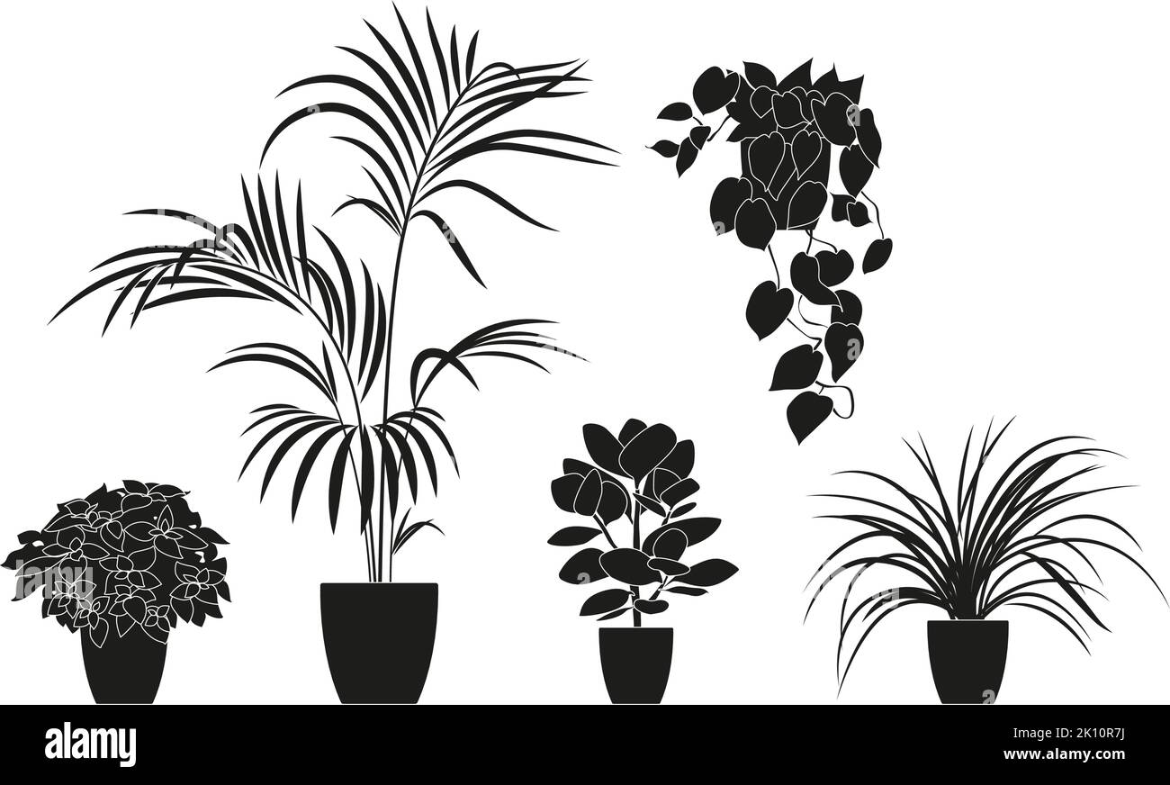 Collezione silhouette di piante da casa in colore nero. Piante in vaso isolate su bianco. Set verde piante tropicali. Arredamento alla moda casa. Illustrazione Vettoriale