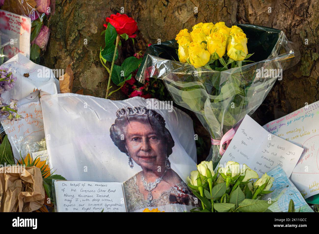 Londra Regno Unito. 14 settembre 2022. I membri del pubblico continuano a portare fiori e messaggi personali di cordoglio a Green Park vicino a Buckingham Palace per esprimere la loro tristezza e la loro simpatia dopo la morte della regina Elisabetta II, il più lungo monarca britannico che serviva, morto al castello di Balmoral il 8 settembre.Photo Horst A. Friedrichs Alamy Live Notizie Foto Stock