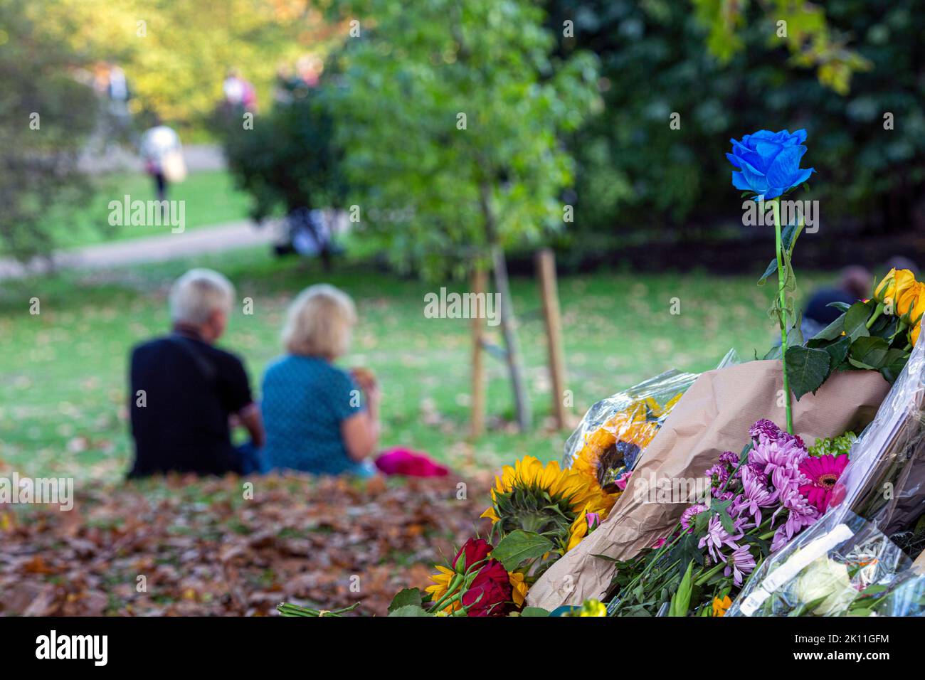 Londra Regno Unito. 14 settembre 2022. I membri del pubblico continuano a portare fiori e messaggi personali di cordoglio a Green Park vicino a Buckingham Palace per esprimere la loro tristezza e la loro simpatia dopo la morte della regina Elisabetta II, il più lungo monarca britannico che serviva, morto al castello di Balmoral il 8 settembre.Photo Horst A. Friedrichs Alamy Live Notizie Foto Stock