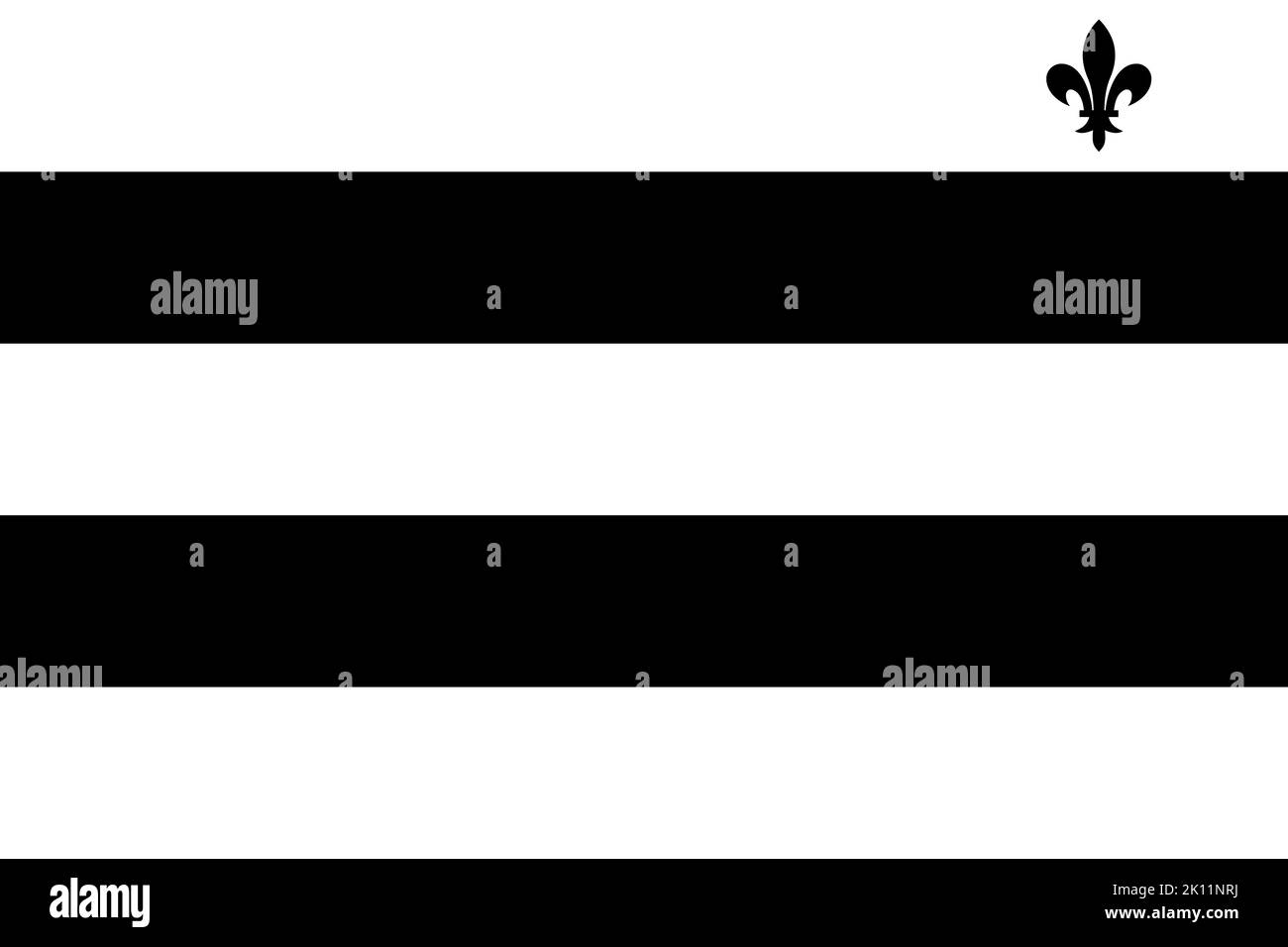 Vista dall'alto della bandiera Meerhout, Belgio. Viaggio belga e concetto patriota. Nessun flagpole. Layout del piano, design. Sfondo della segnalazione Foto Stock