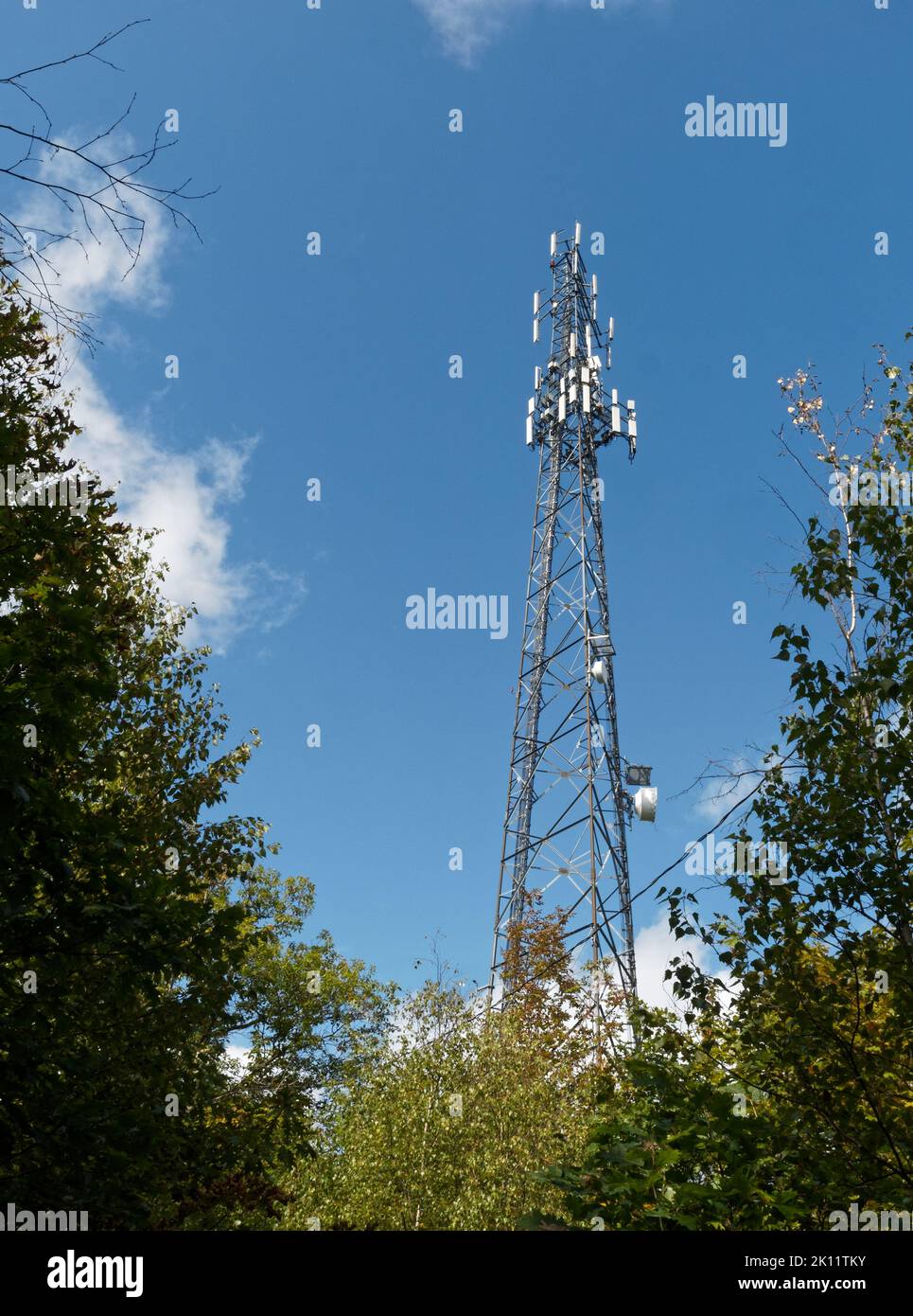 Un'alta torre di comunicazione rurale. Quebec, Canada Foto Stock