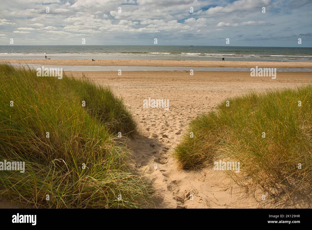 Bellissima spiaggia di Bergen aan Zee nell'Olanda del Nord Foto Stock