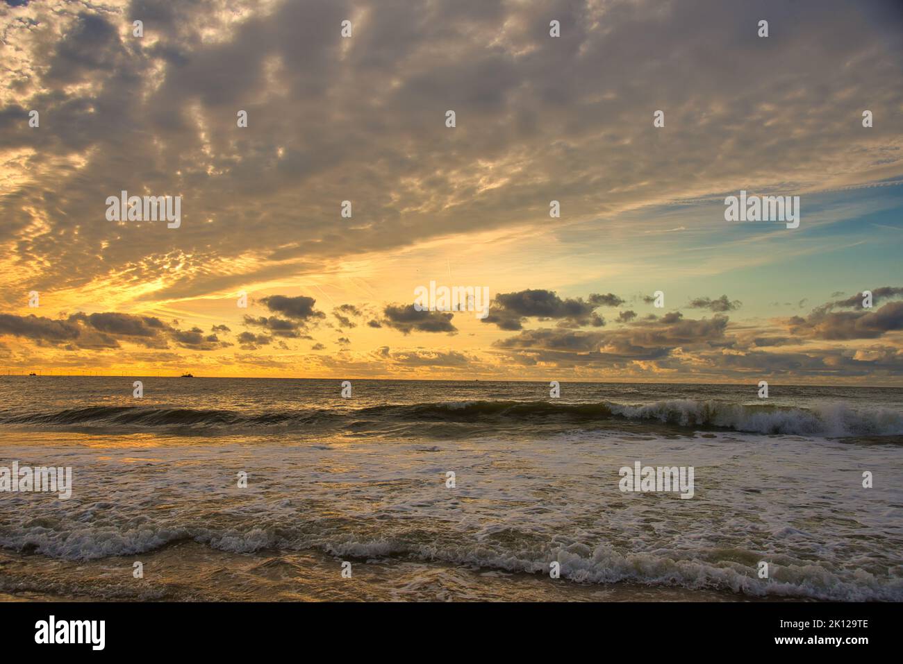 Spiaggia nel nord dell'Olanda a Bergen aan Zee Foto Stock