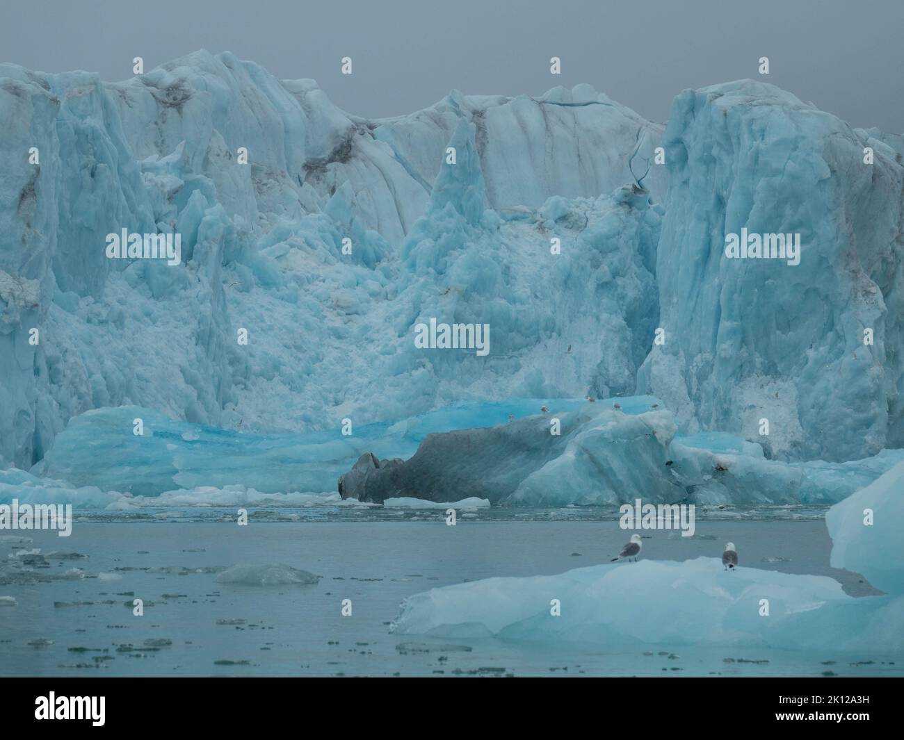 Vista panoramica del 14th luglio Ghiacciaio o la Fjortende Julibreen. È un bellissimo ghiacciaio che si trova nel nord-ovest di Spitsbergen. Foto Stock