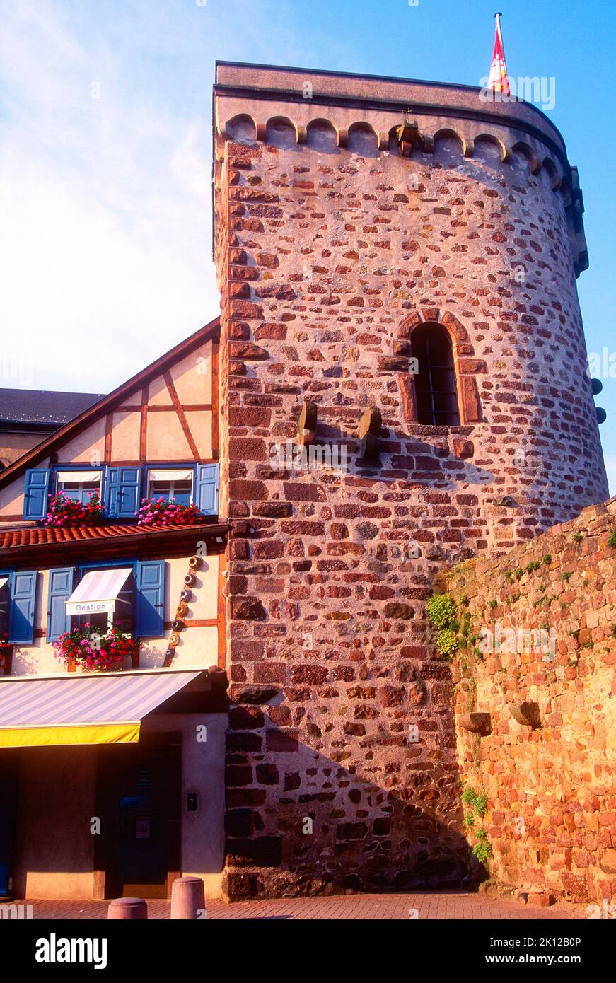 Muro di città, torre, comune Obernai, dipartimento del basso Reno, Alsazia, Francia Foto Stock
