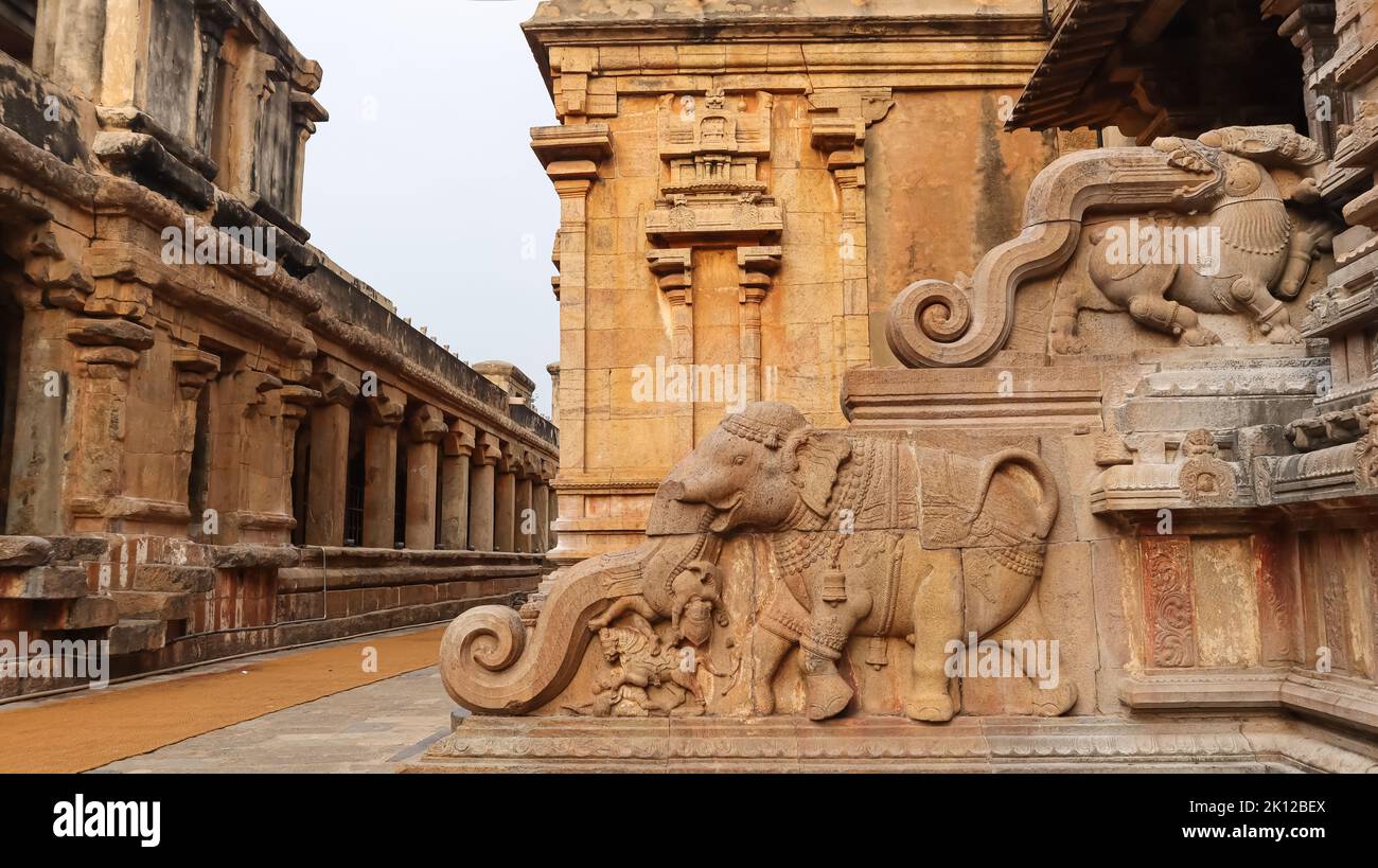 Le scale incredibili dell'elefante del tempiale di Brihadeshwara, tempiale grande, Thanjavur, Tamil Nadu, India. Foto Stock