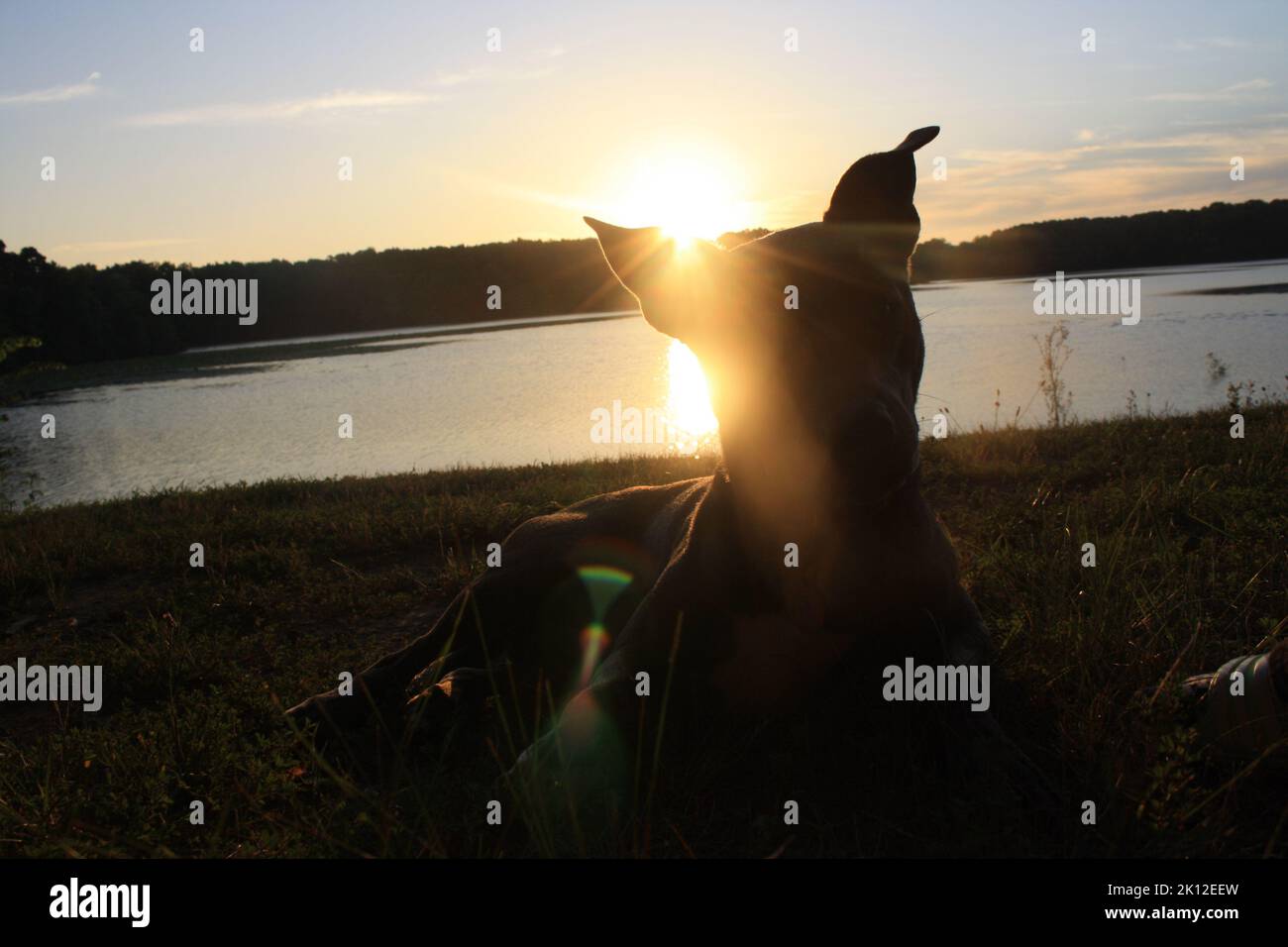 Vivere nel momento. Foto Stock