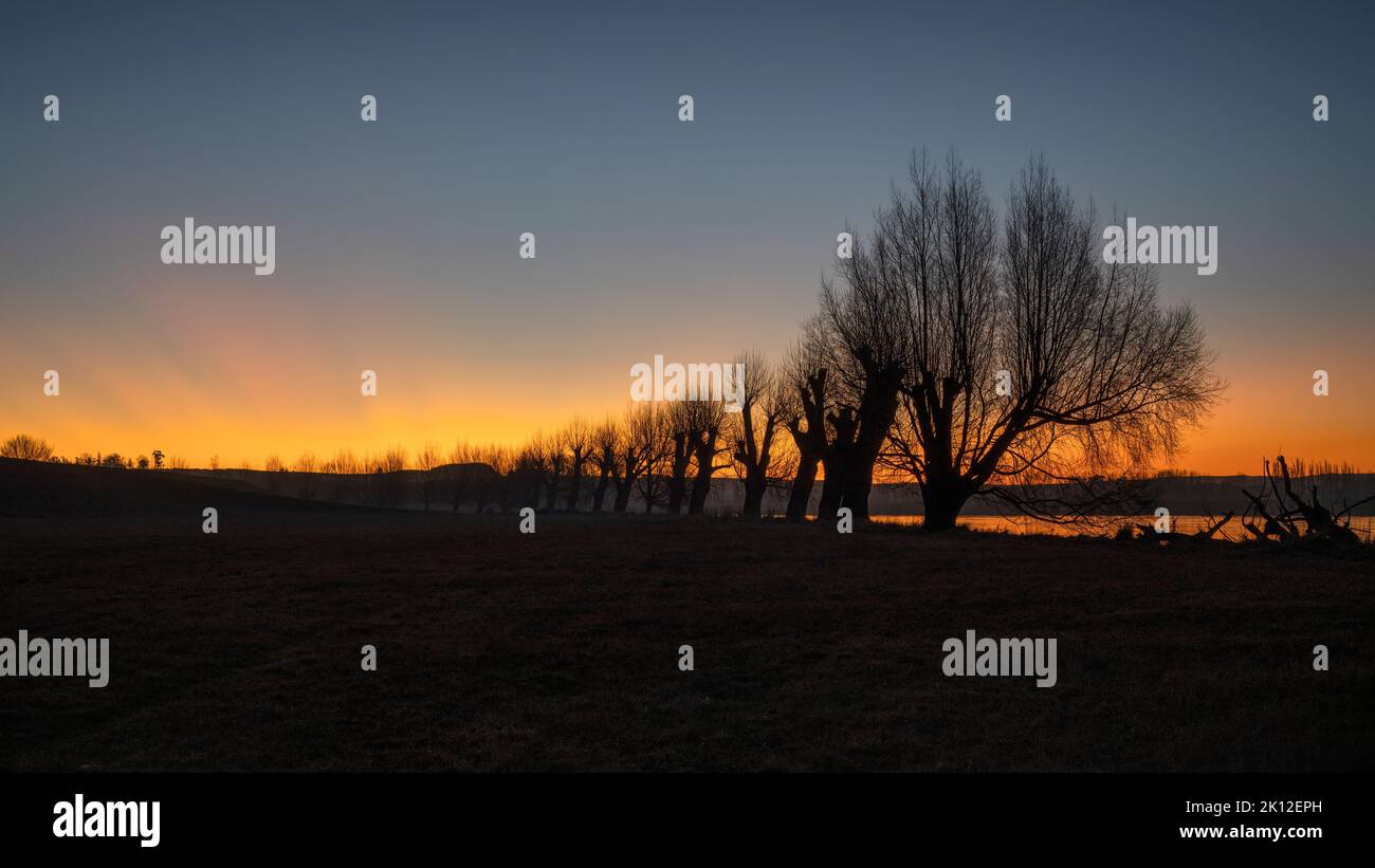 Silhouette alberi lungo il fiume Clutha al tramonto, Balcutha, Sud Otago. Foto Stock