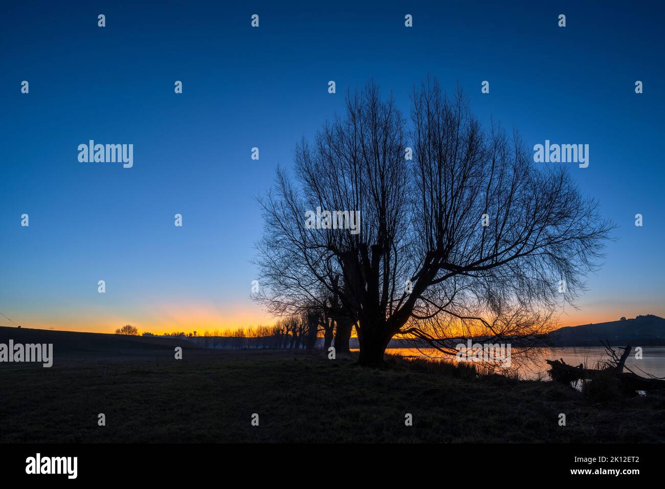 Silhouette alberi lungo il fiume Clutha al tramonto, Balcutha, Sud Otago. Foto Stock