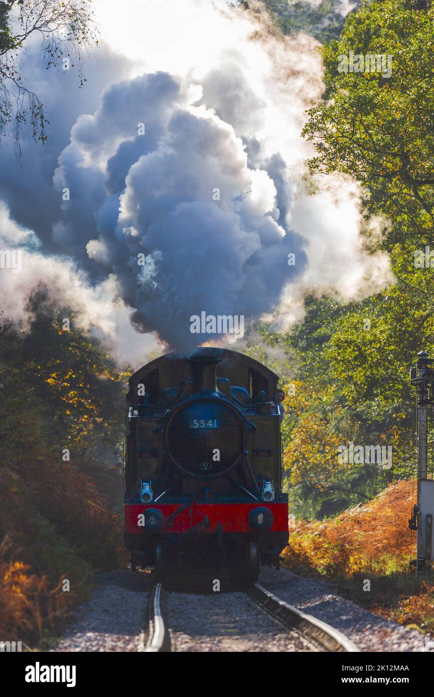 GWR 4575 Prairie Serbatoio n. 5541 in esecuzione su Dean Forest Railway, Gloucestershire, England, Regno Unito Foto Stock