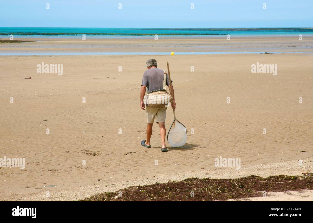 Un beachcomber a Pirou Plage, Normandia, Francia, Europa Foto Stock