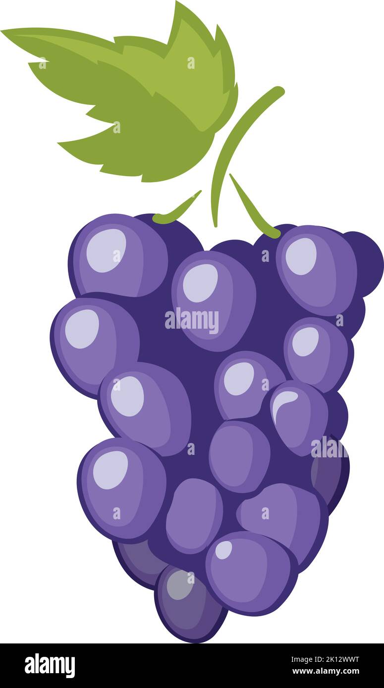 Icona grappolo d'uva. Cartone animato vino naturale bacche Illustrazione Vettoriale