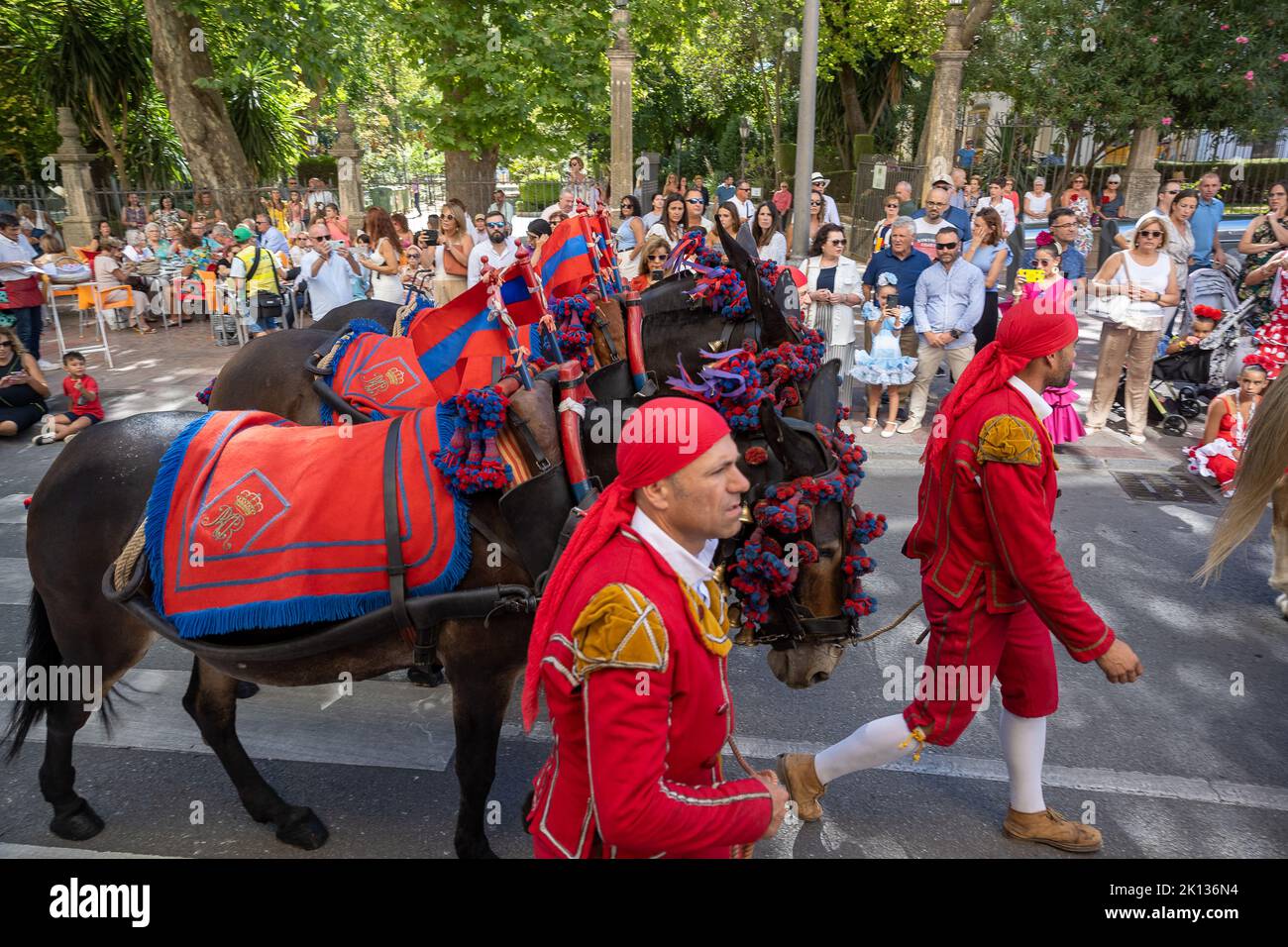 Mulilleros presso la 'Feria Goyesca de Pedro Romero' imponente arena, nel centro della romantica città di Ronda, vicino a Malaga. Foto Stock