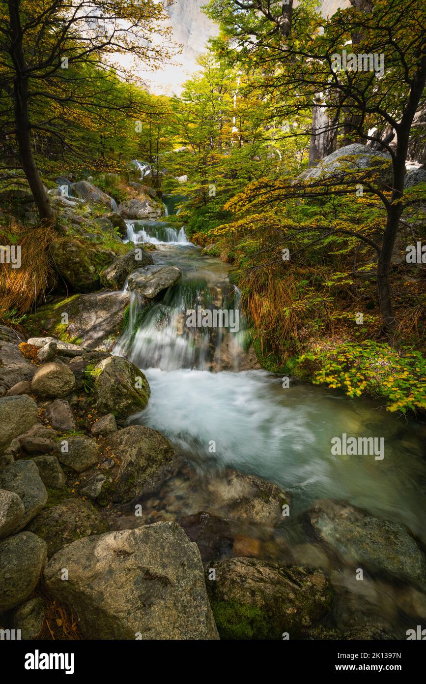 Piccola cascata nella foresta, Valle Frances (Valle del Frances), Parco Nazionale Torres del Paine, Patagonia, Cile, Sud America Foto Stock