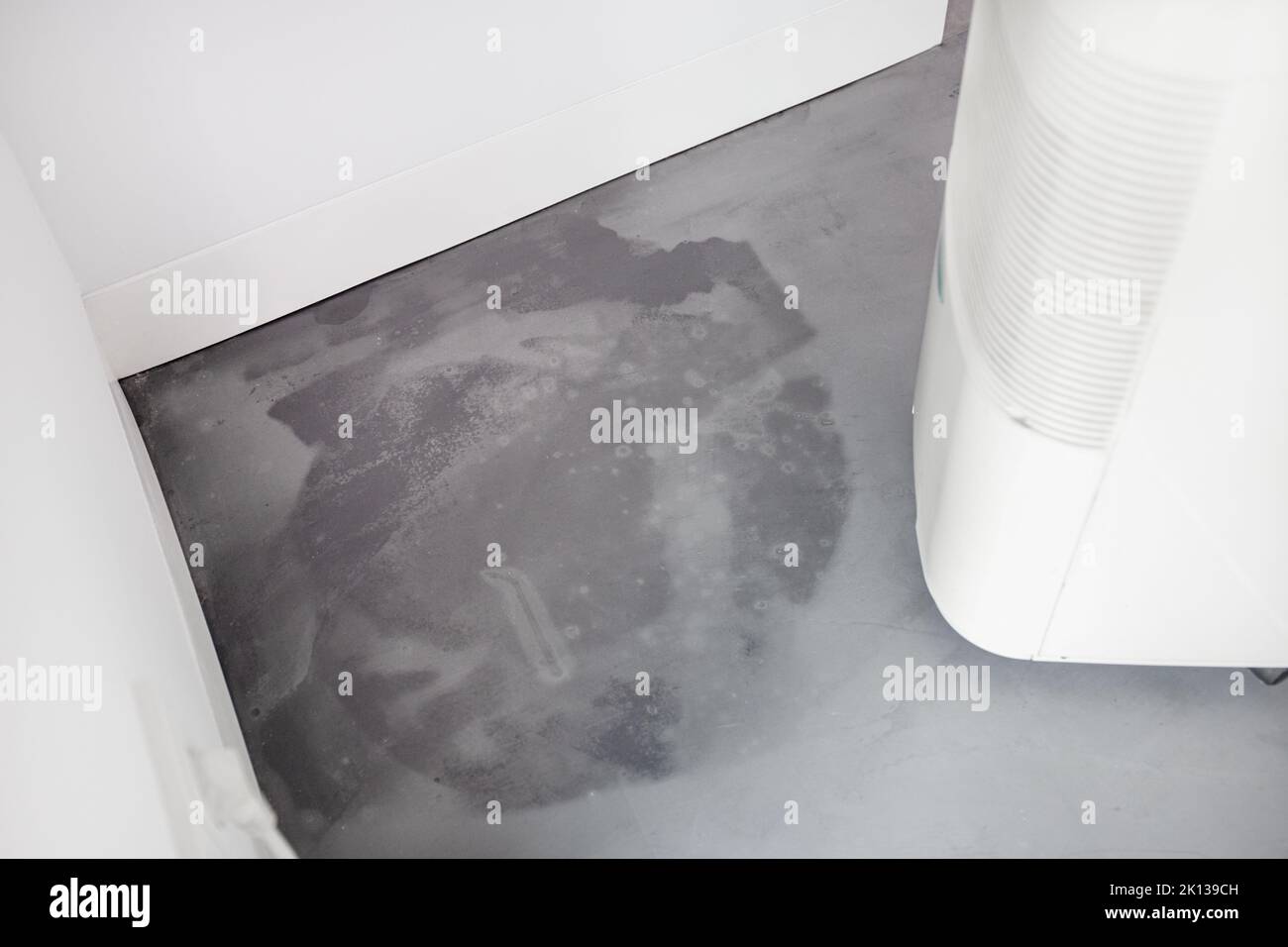 Particolare di un pavimento in microcemento umido dopo l'allagamento e di un deumidificatore al lavoro. Problemi di umidità Foto Stock