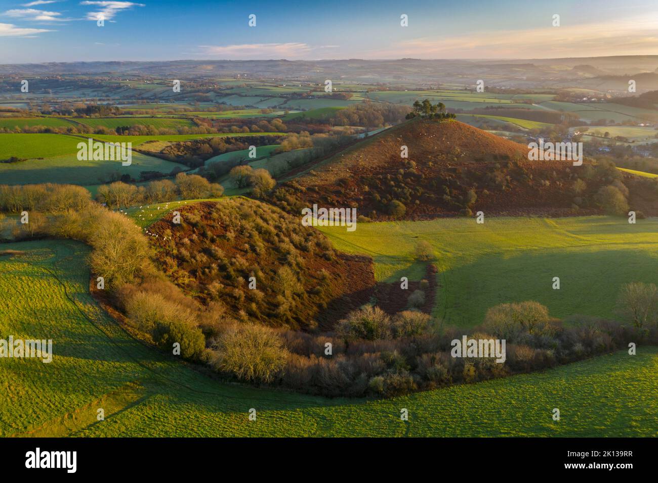 Veduta aerea di Colmer's Hill all'alba in una soleggiata mattinata invernale, Symondsbury, Dorset, Inghilterra, Regno Unito, Europa Foto Stock