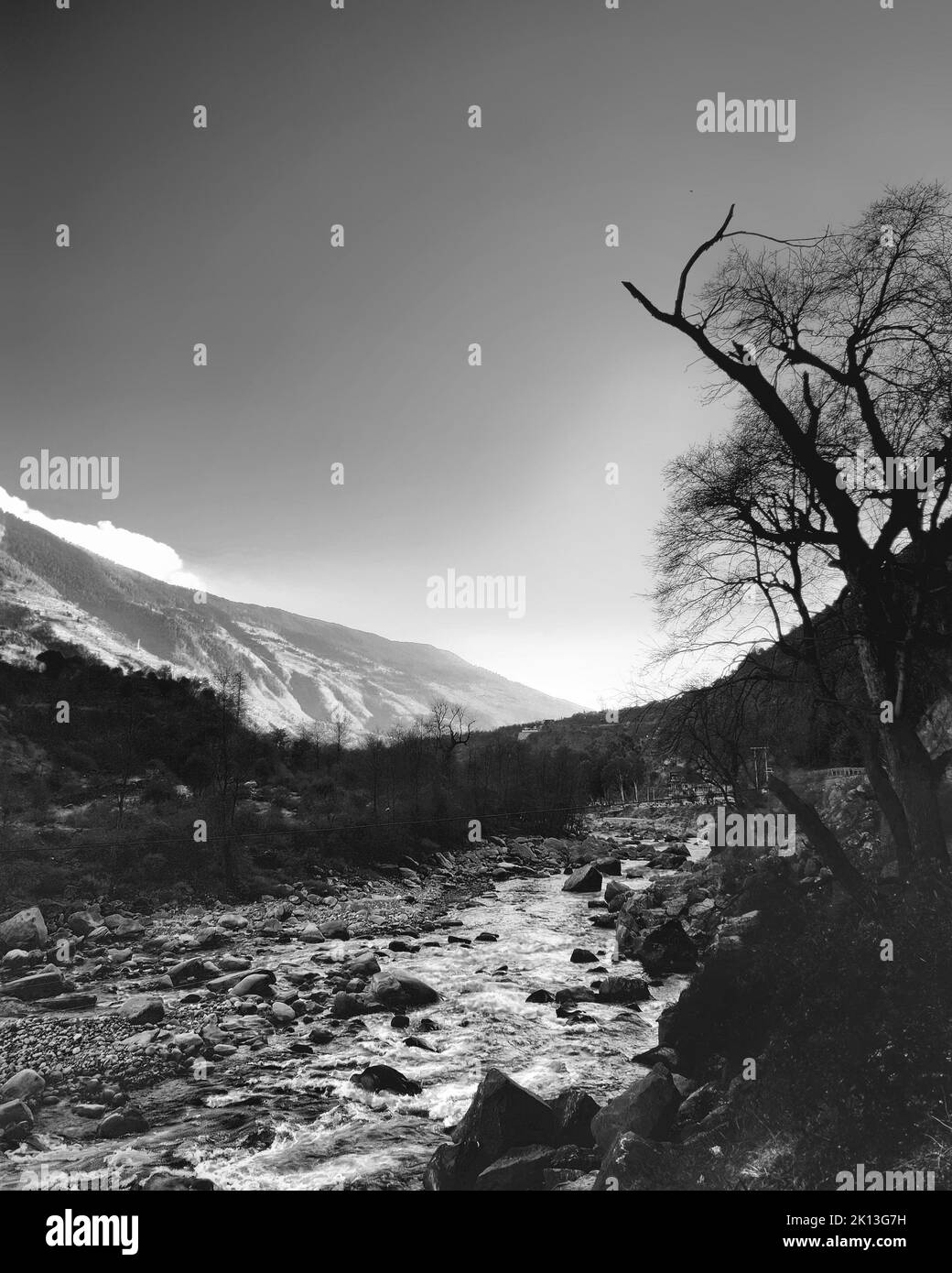 Un colpo in bianco e nero di un fiume in una foresta deserta con alberi senza fronde circondati da montagne Foto Stock