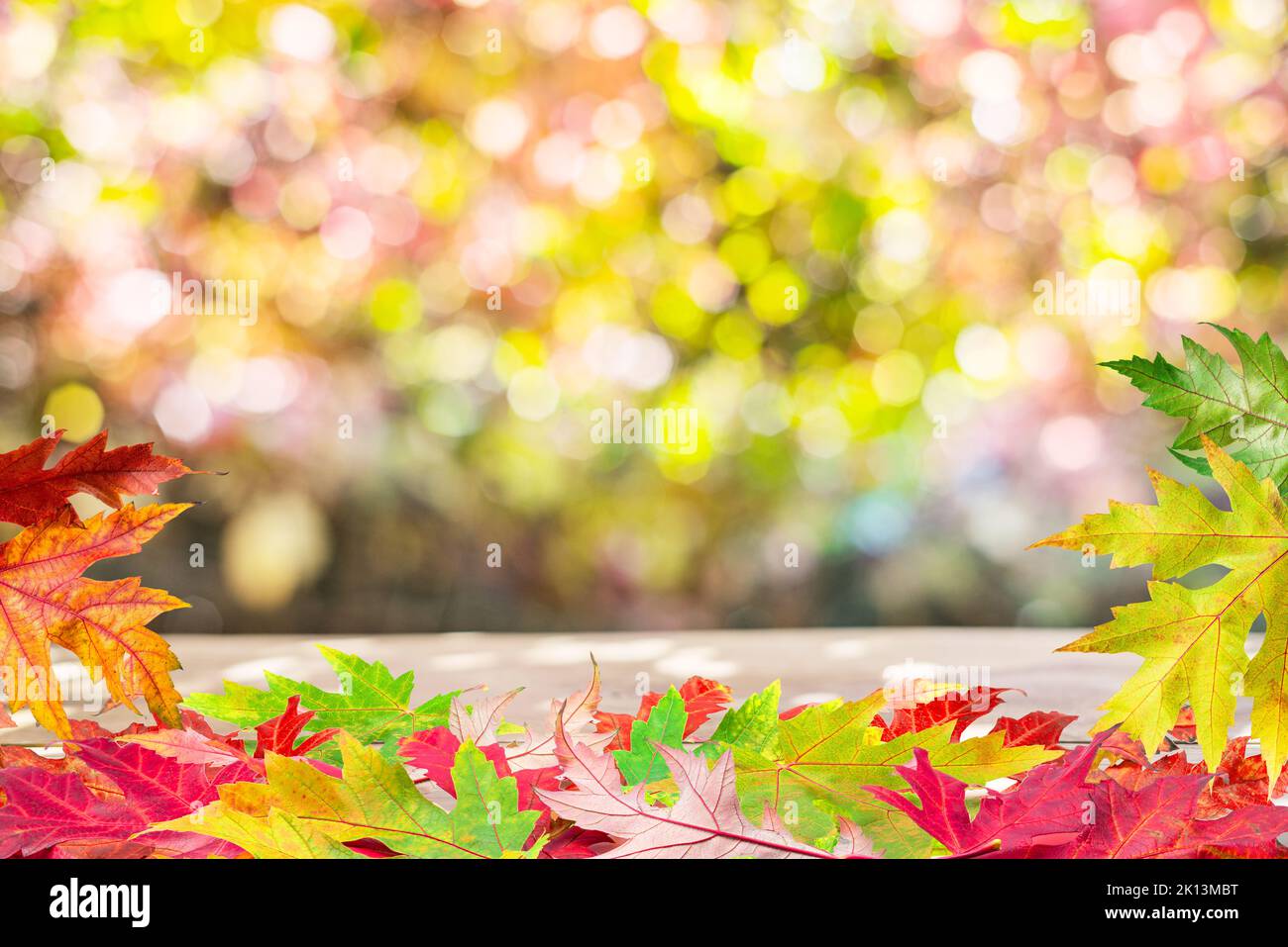 Sfondo autunnale con un whis autunno foglie colorate e bel bokeh soleggiato. Foto Stock