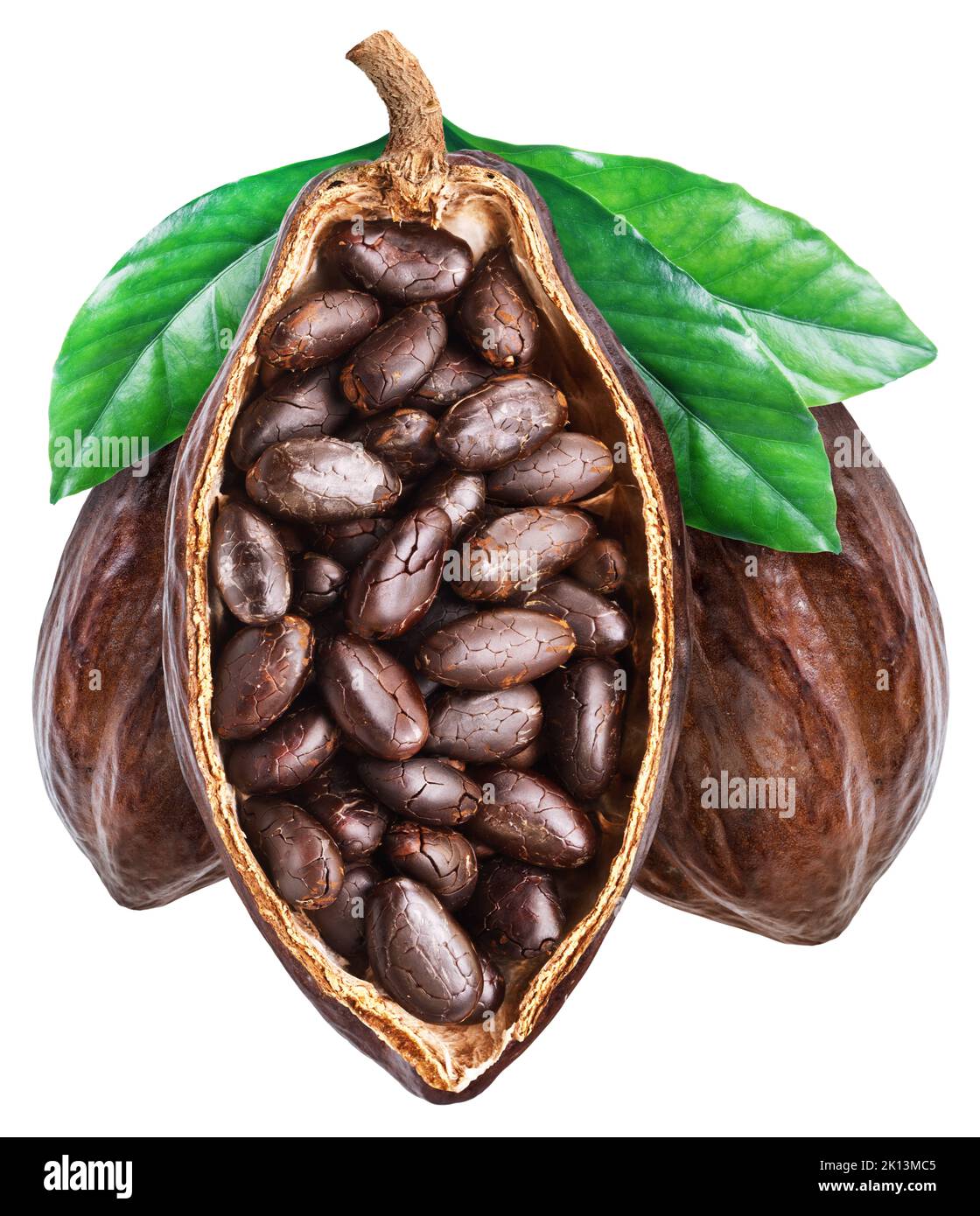 Tre frutti di cacao con fave di cacao essiccate isolate su fondo bianco. Tracciato di ritaglio. Foto Stock
