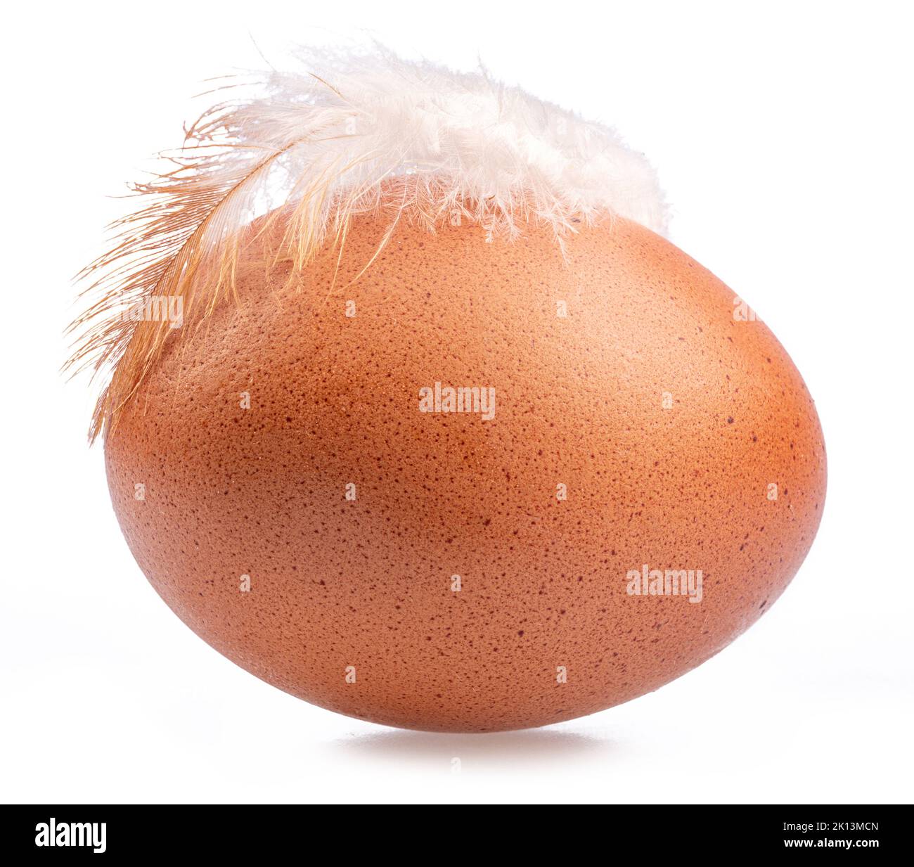 Rosolare l'uovo di pollo e la piuma di pollo sulla sua parte superiore isolata su sfondo bianco. Foto Stock