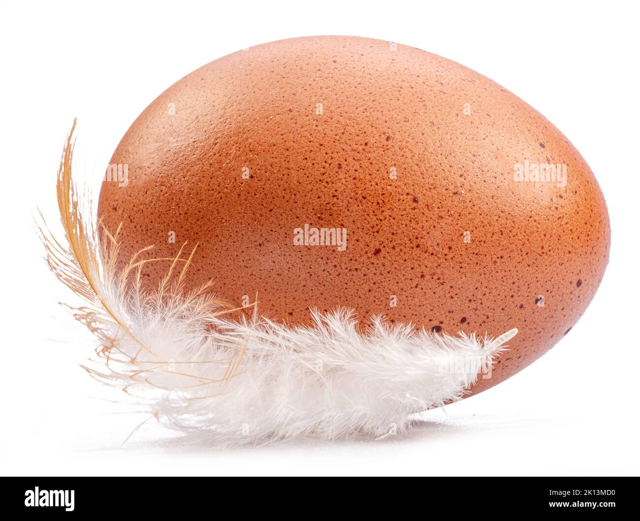 Rosolare l'uovo di pollo e la piuma di pollo isolati su sfondo bianco. Foto Stock