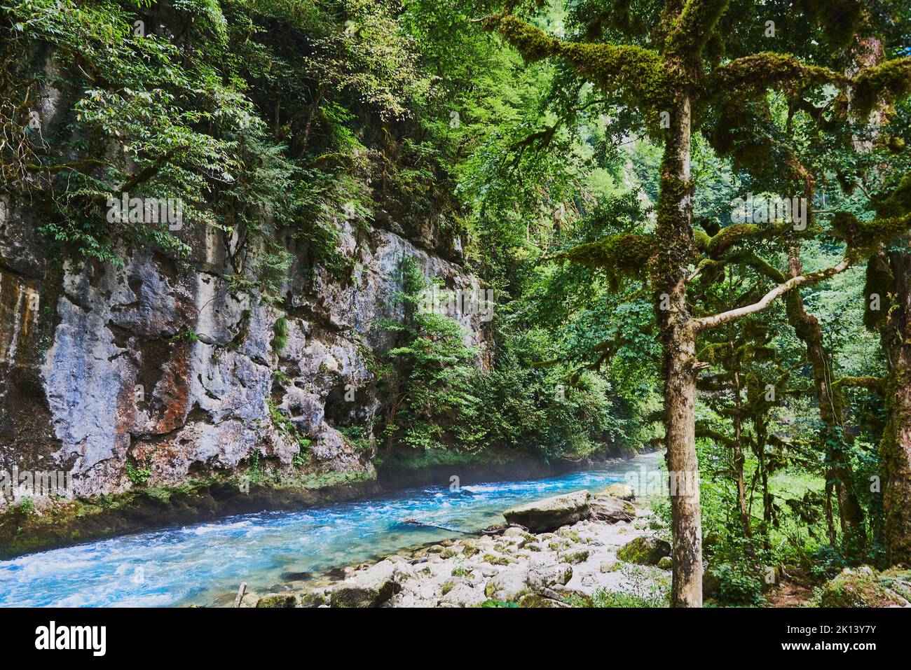 Il fiume di montagna Bzyb scorre lungo le rocce nella riserva di Ricin, Abkhazia. Foto Stock