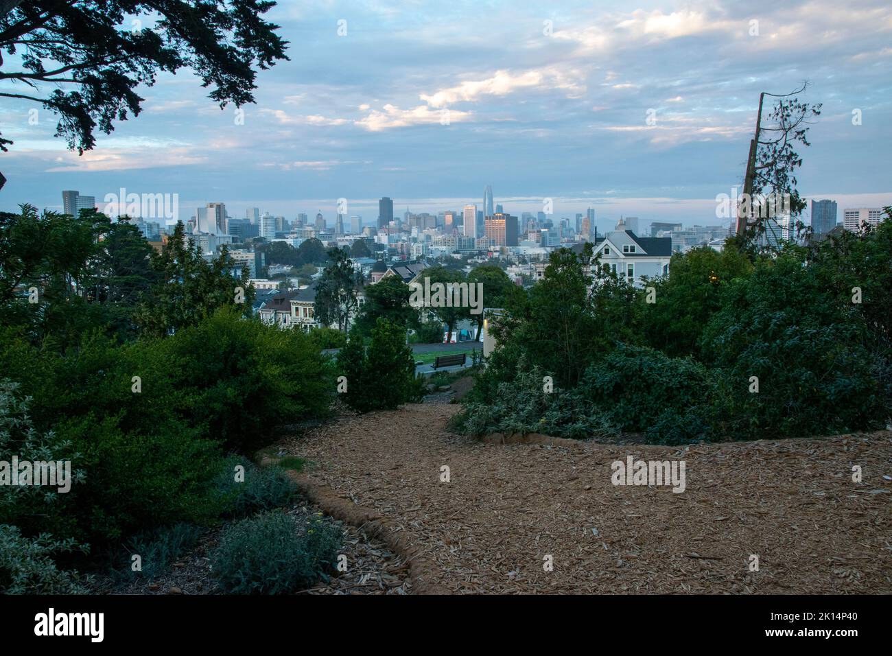 Alamo Square è una popolare destinazione turistica a San Francisco, CA, USA perché le Painted Ladies sono lì. Foto Stock