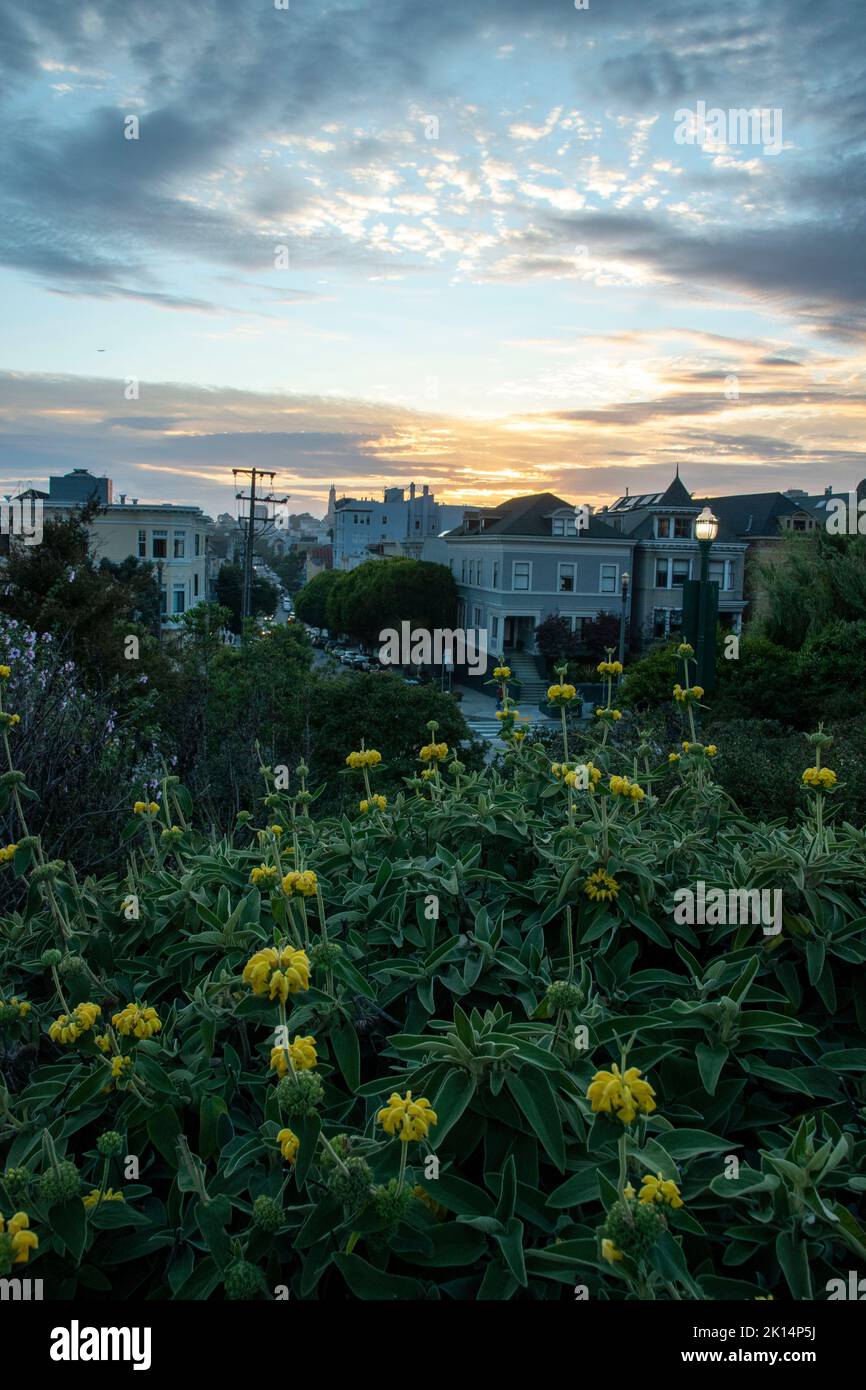 Alamo Square è una popolare destinazione turistica a San Francisco, CA, USA perché le Painted Ladies sono lì. Foto Stock
