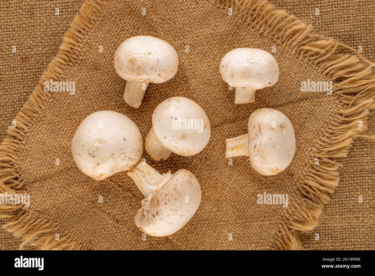 Diversi funghi biologici su tela di iuta, primo piano, vista dall'alto. Foto Stock