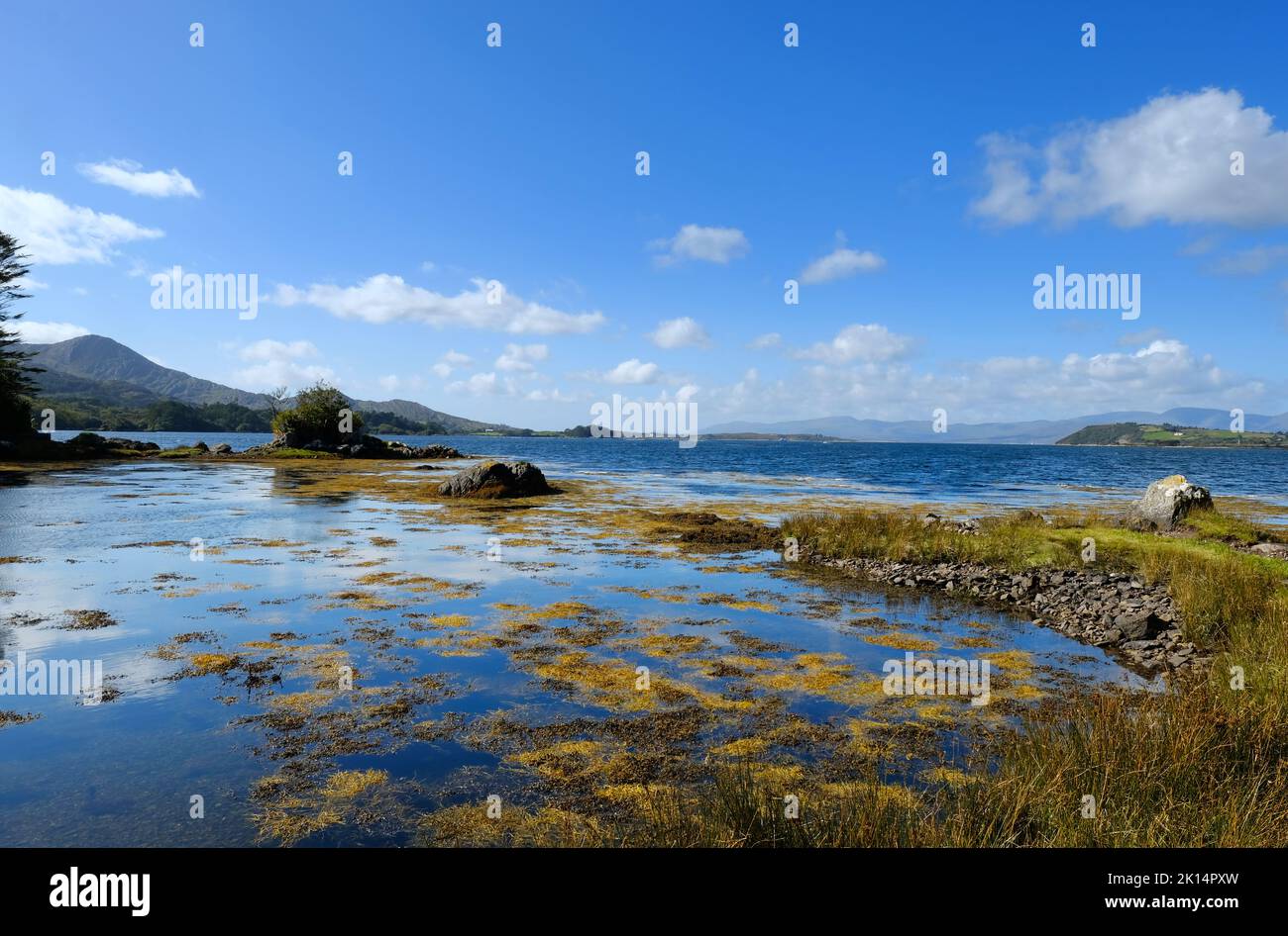 Costa irlandese vicino a Derreen Gardens, Contea di Kerry - John Gollop Foto Stock