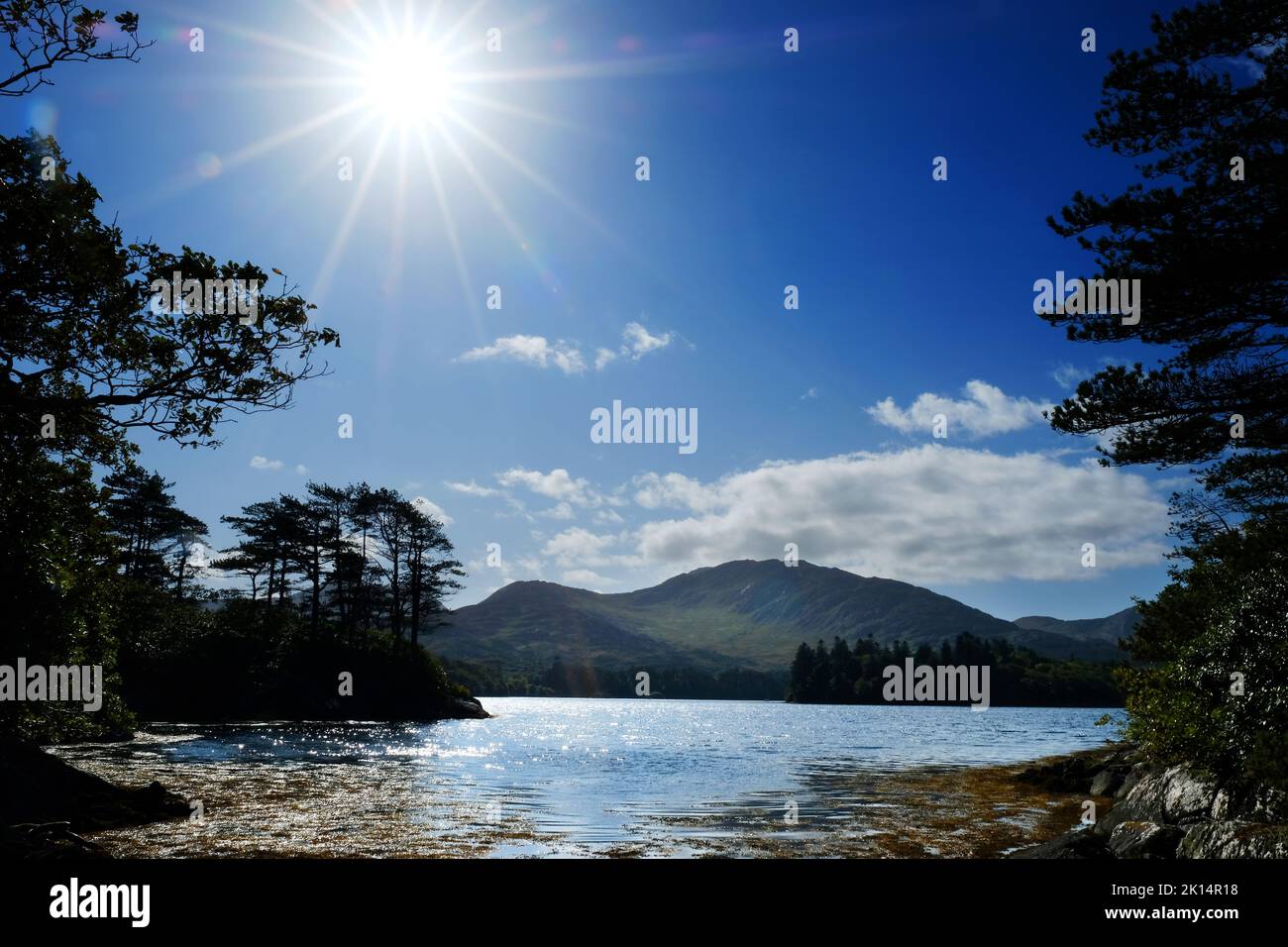 Costa irlandese vicino a Derreen Gardens, Contea di Kerry - John Gollop Foto Stock
