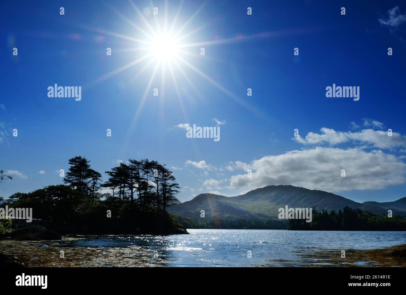 Costa irlandese vicino a Derreen Gardens, Contea di Kerry - John Gollop Foto Stock