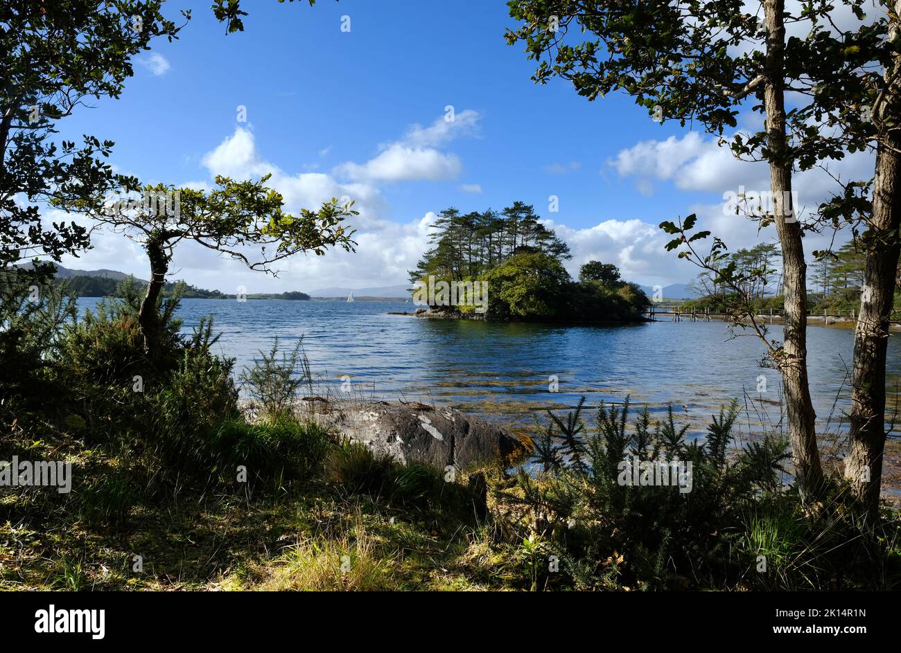 Costa irlandese vicino a Derreen Gardens, Contea di Kerry - John Gollop Foto Stock