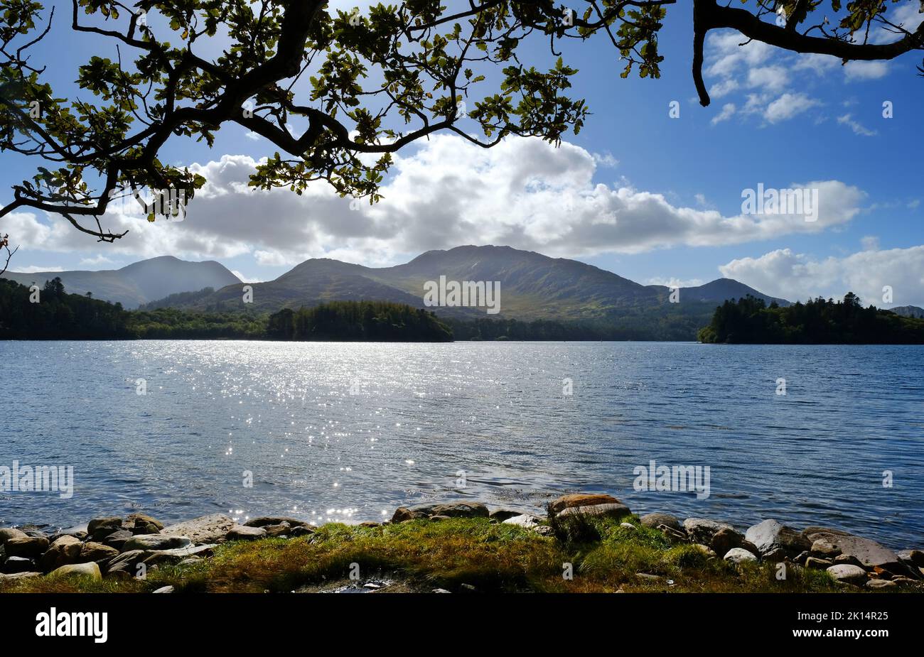 Costa irlandese vicino a Derreen Gardens, Contea di Kerry - John Gollop Foto Stock