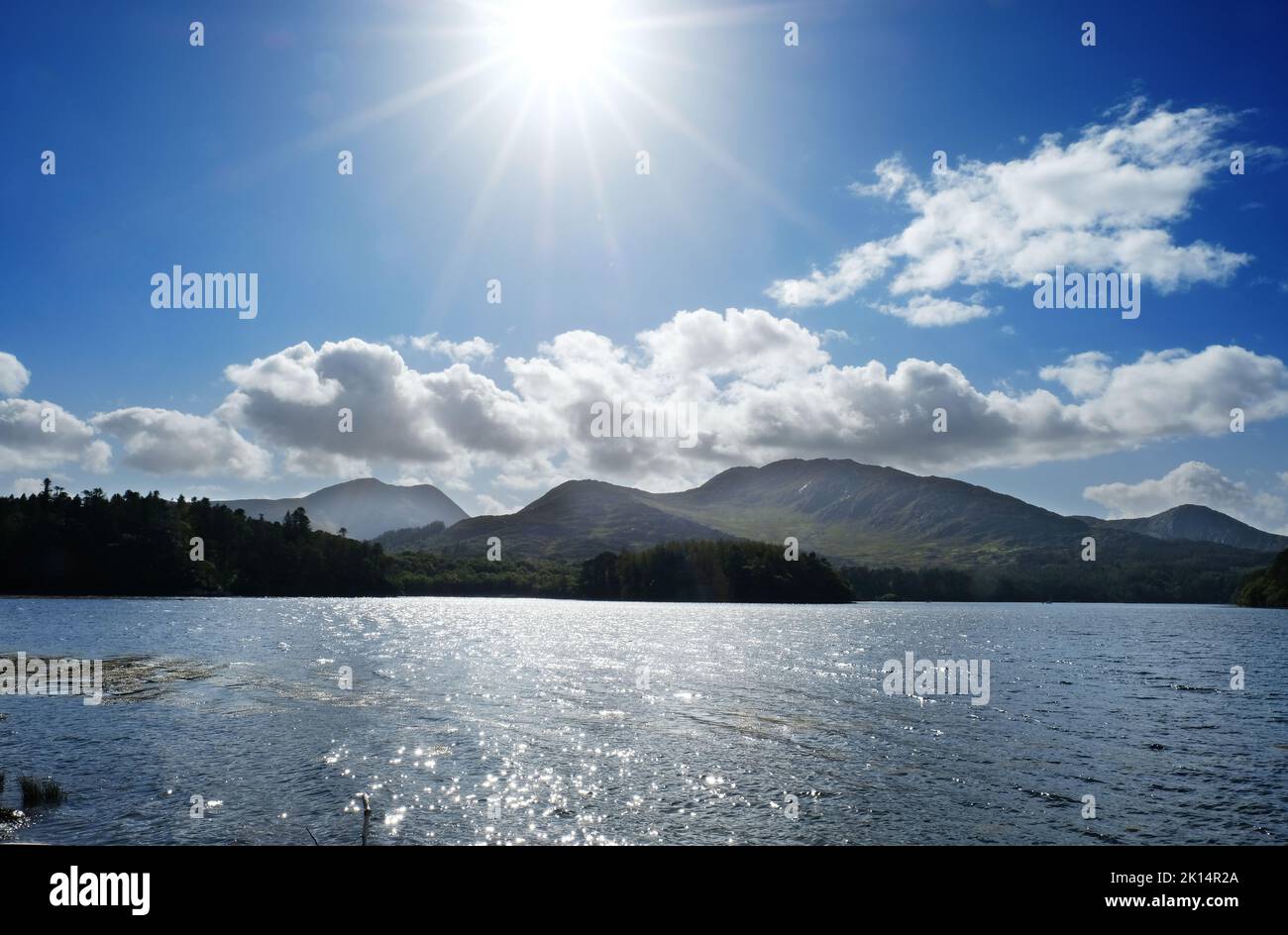 Costa irlandese vicino a Derreen Gardens, Contea di Kerry - John Gollop Foto Stock
