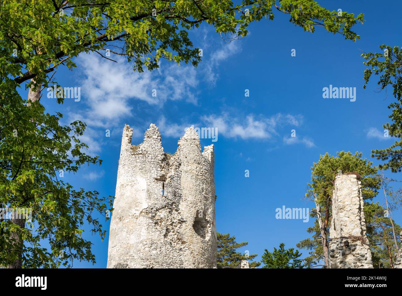 Il Castello di Blatnica, rovine di un castello medievale carpazi nel nord della Slovacchia, Europa. Foto Stock