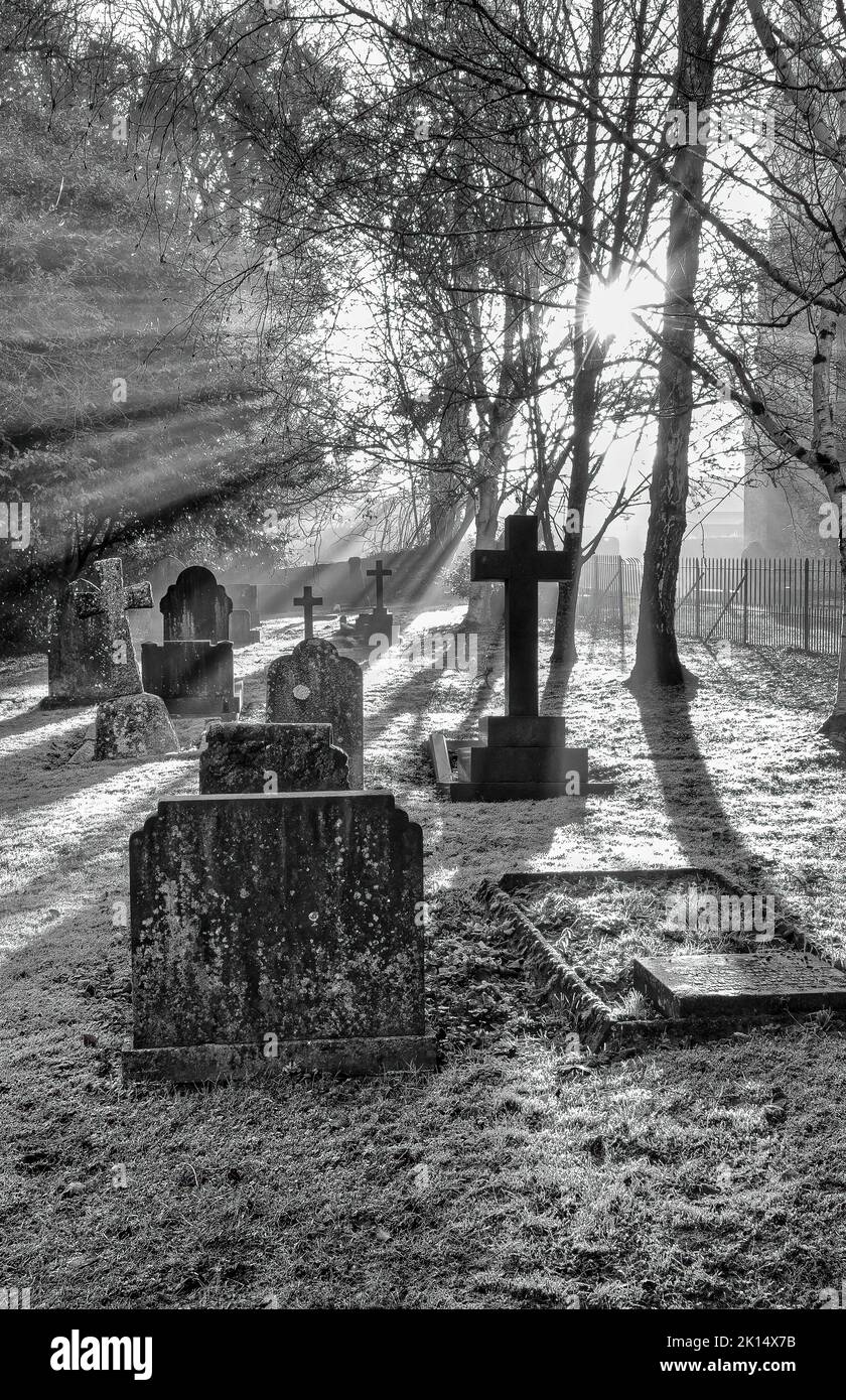 Sole di prima mattina su un cimitero misteriosa con lapidi, Cardiff, Galles, Regno Unito Foto Stock