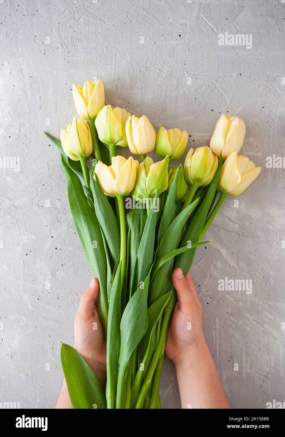 Una giovane donna che organizza un bouquet di tulipani gialli su un tavolo grigio. Foto Stock